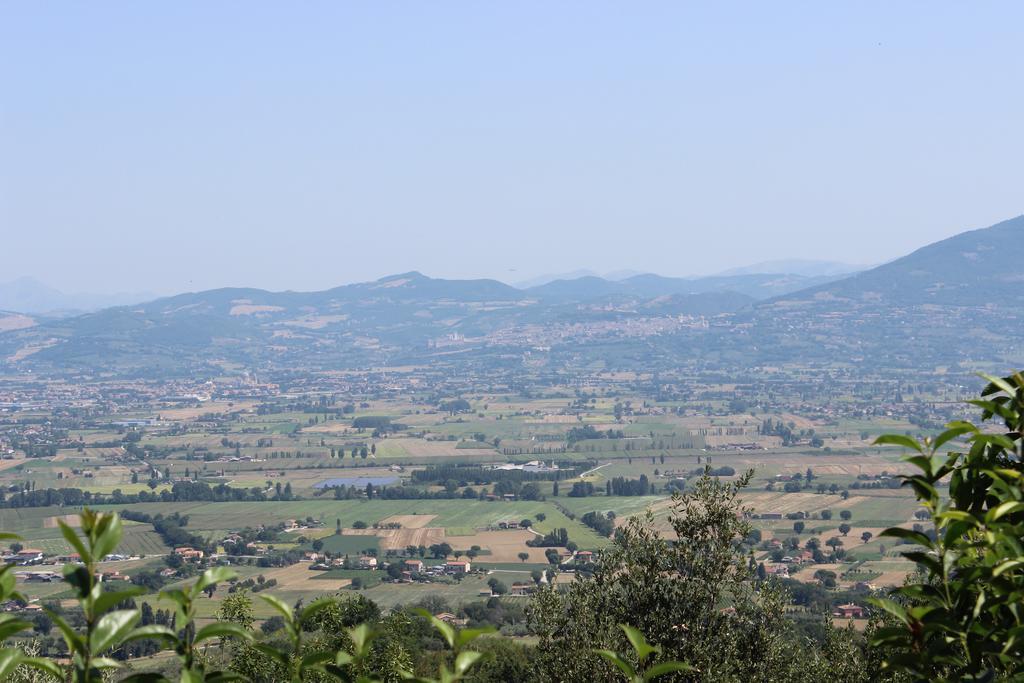 Societa Agricola F.Lli Angelucci Βίλα Cannara Εξωτερικό φωτογραφία